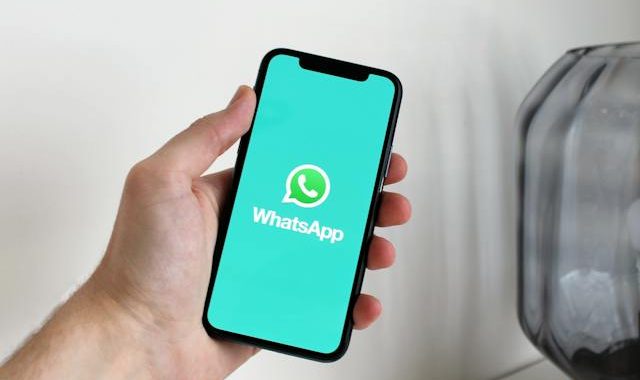 Come vedere l'ultimo accesso su WhatsApp anche se è stato tolto?